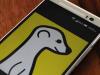 تطبيق Meerkat يتيح الآن بث مقاطع الفيديو المباشرة على المواقع الإلكترونية