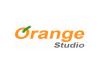  خلال "جيتكس دبى 2016 " :   " Orange Studio" تقدم خدمات تصميم المواقع والتطبيقات الالكترونيه 