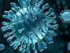 فيروس “سي” وتدهن الكبد الالتهابي بطب عين شمس