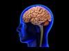 دراسة: خلايا الجلد البشري السلاح القادم ضد سرطان المخ