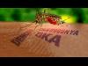 فيروس زيكا لا يهدد الأدوية المشتقة من البلازما