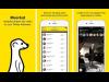 "Meerkat  " تطببيق للبث المباشر على متجر "  Google Play"