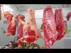 تصنيع اللحوم معمليا عن طريق الخلايا الجذعية المأخوذة من البقر