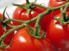 الطماطم تحمي من مخاطر الغذاء المرتفع الدهون