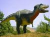بحث : الديناصورات عاشت في السعودية
