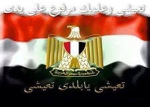 سوفتيك" تقدم حلول الدوريةالذكية " مصر أمنة" .. والسيسي يعطى التكليف بالبدء في تنفيذها