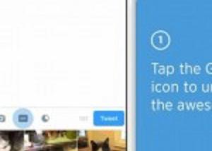 تويتر تضيف رسميا زر البحث عن الصور المتحركة GIF إلى تطبيقها الرسمي