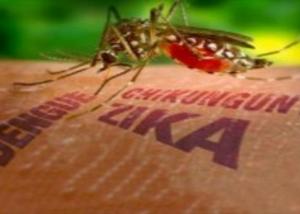 جهة رقابية أمريكية تصدر تعليمات جديد لمنع انتشار فيروس زيكا