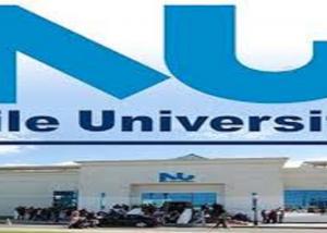 جامعة " النيل ": تطلق مبادرة لتنفيذ وتمويل مشاريع الشباب