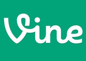 Vine تؤكد إطلاق ميزة الحسابات الشخصية على موقعها قريباً