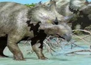 اكتشاف فصيلة جديدة من الديناصورات ذات القرون بالمكسيك