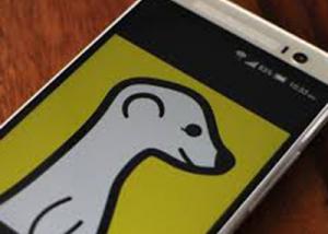 تطبيق Meerkat يتيح الآن بث مقاطع الفيديو المباشرة على المواقع الإلكترونية