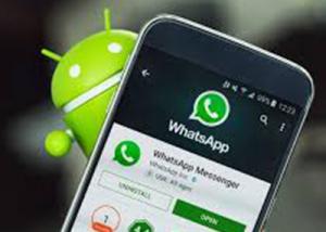 John McAfee يؤكد أنه توصل لطريقة لكسر تشفير WhatsApp