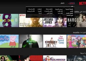 خدمة Netflix  على الشبكات الاجتماعية