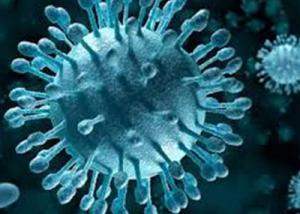 فيروس “سي” وتدهن الكبد الالتهابي بطب عين شمس