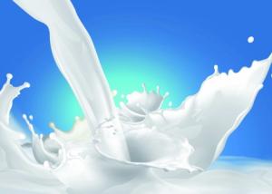 الإفراط فى تناول الحليب يسبب السرطان