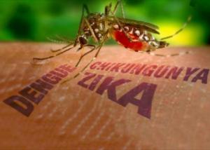 الفلبين تعلن عن أول إصابة بفيروس زيكا هذا العام