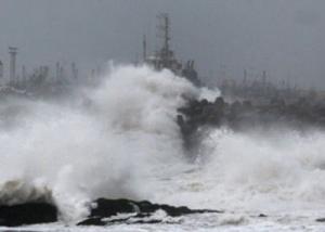 الإعصار فاردا يضرب ساحل جنوب الهند ويقتل اثنين