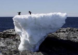 المياه المتجمدة في القطب الجنوبي عرضة لانحسار مفاجئ