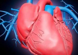 دراسة تؤكد نقص التعليم يرفع خطر الإصابة بالنوبات القلبية