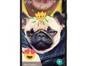 تطبيق WhatsApp يحصل على دعم الصور المتحركة GIF على منصة iOS