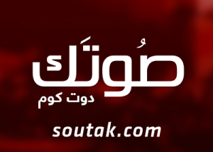 "إستطلاع صوتك" تجربة جديدة لاستطلاعات الرأى في مصر